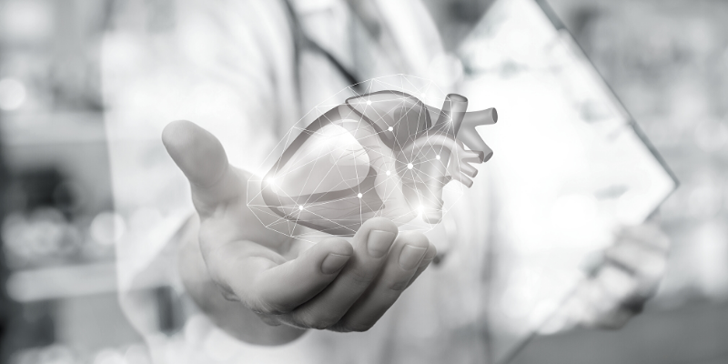 coding-spotlight-heart1